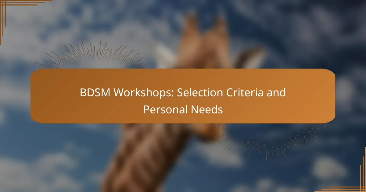 [censured] Workshops: Selection Criteria and Personal Needs