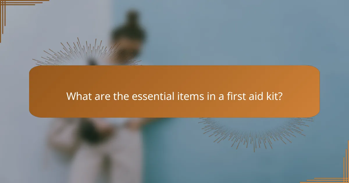 What are the essential items in a first aid kit?